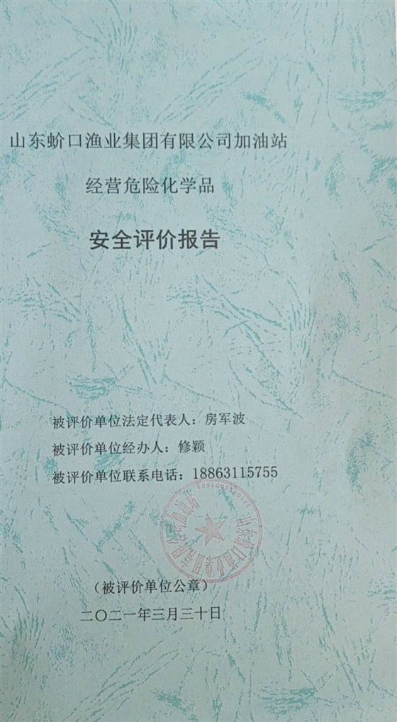 报告封皮