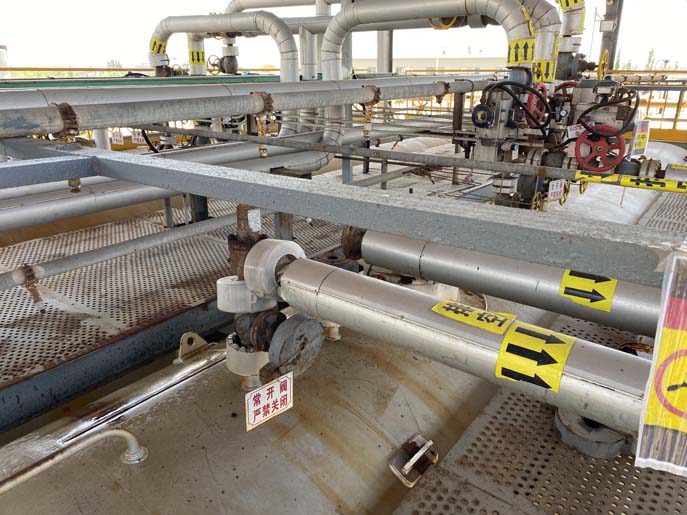 2022_06_16_11_41_IMG_2210